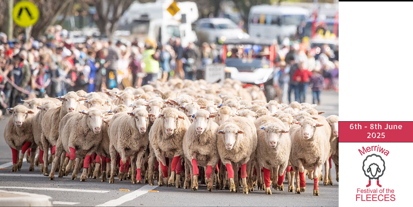 Merriwa Festival of the Fleeces - Saturday 6th June 2026 (June long weekend)