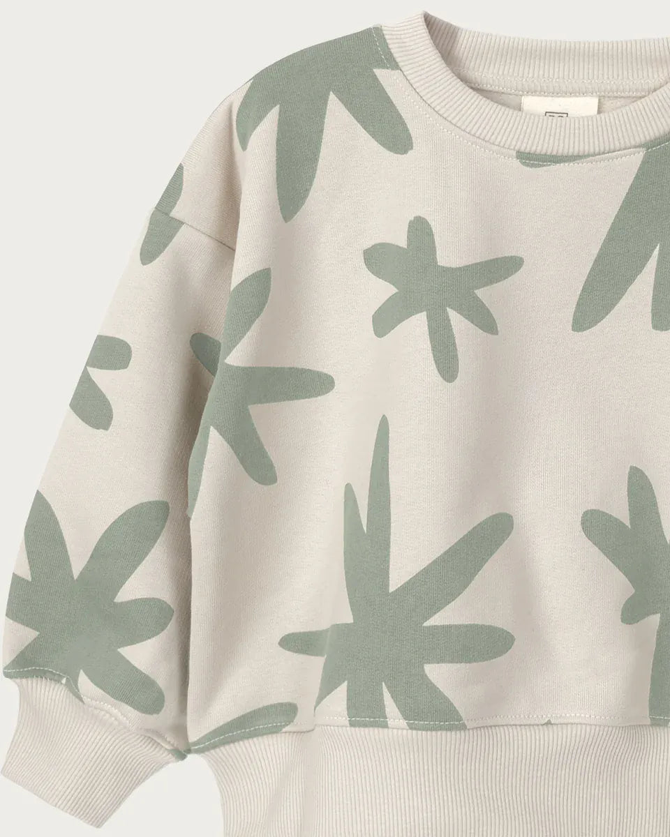 Little Wonders Children's Wear Sweaters Sweatshirt - Sage Star