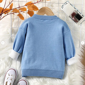 Little Wonders Children's Wear Sweaters Choo Choo Train Knitted Sweater